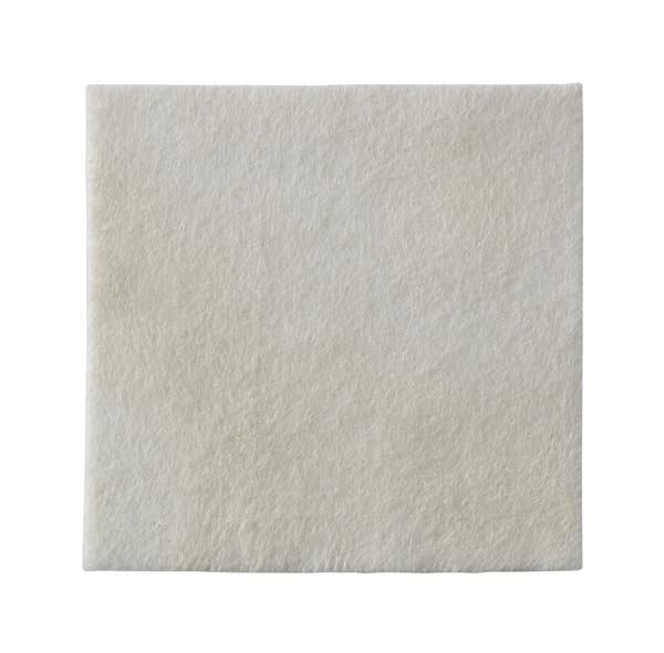 Biatain Alg. Kompresse 10x10cm von Sangro Medical Service